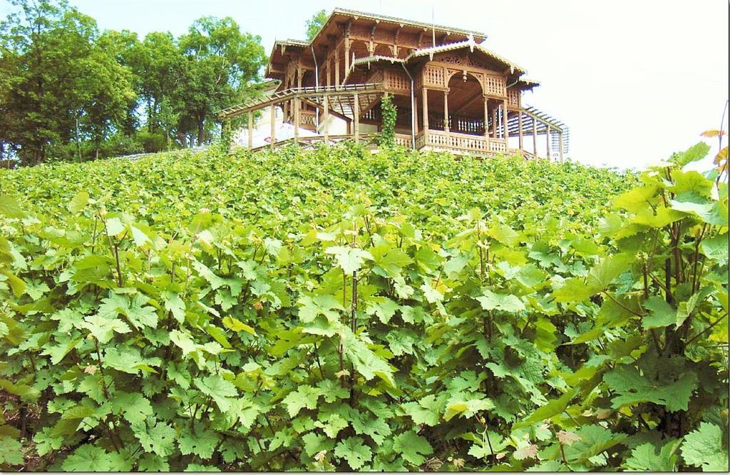 براغ Apartmany Machek المظهر الخارجي الصورة